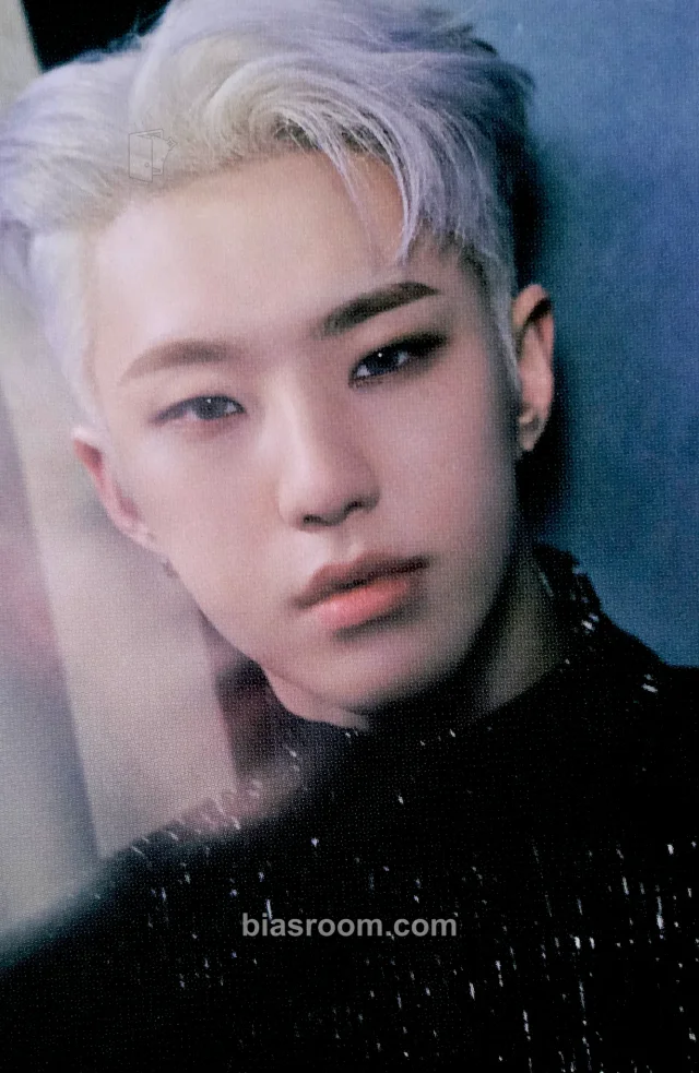 SEVENTEEN - Hoshi - Spider - Hoshi Digital Single Album trading card