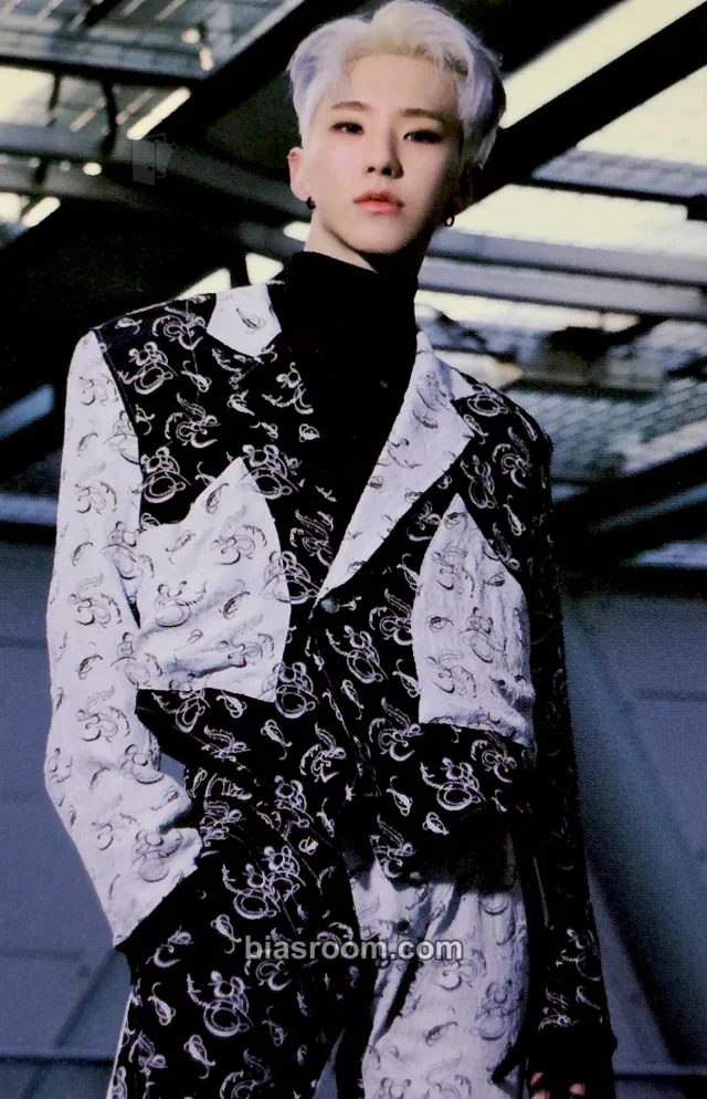 SEVENTEEN - Hoshi - Spider - Hoshi Digital Single Album trading card