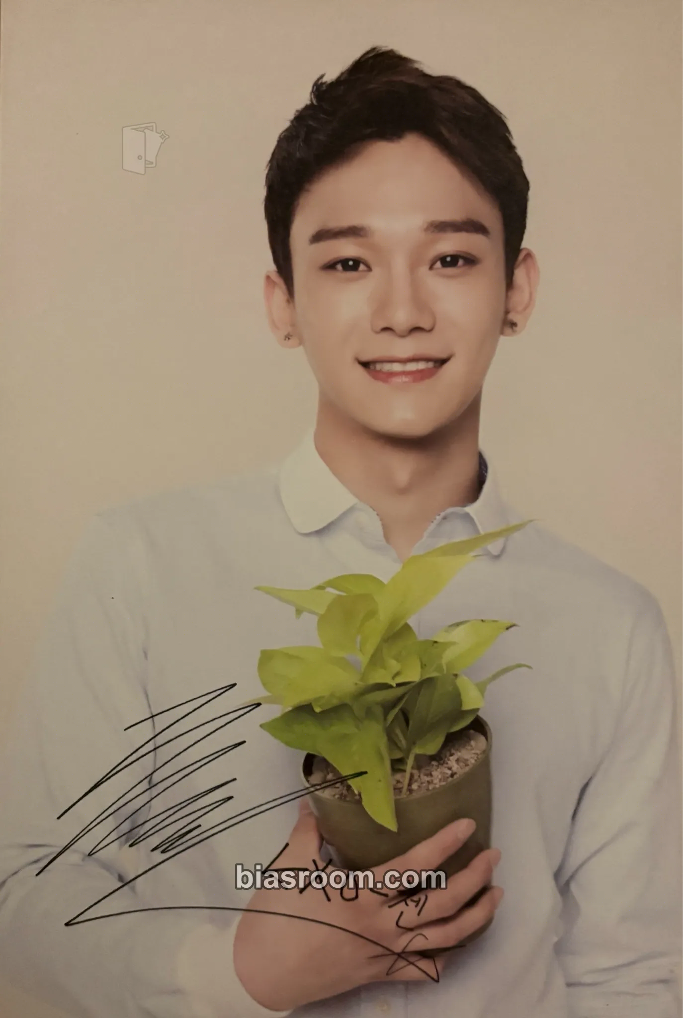 Chen EXO × Nature Republic Photocard - EXO - EXO K-pop photocard