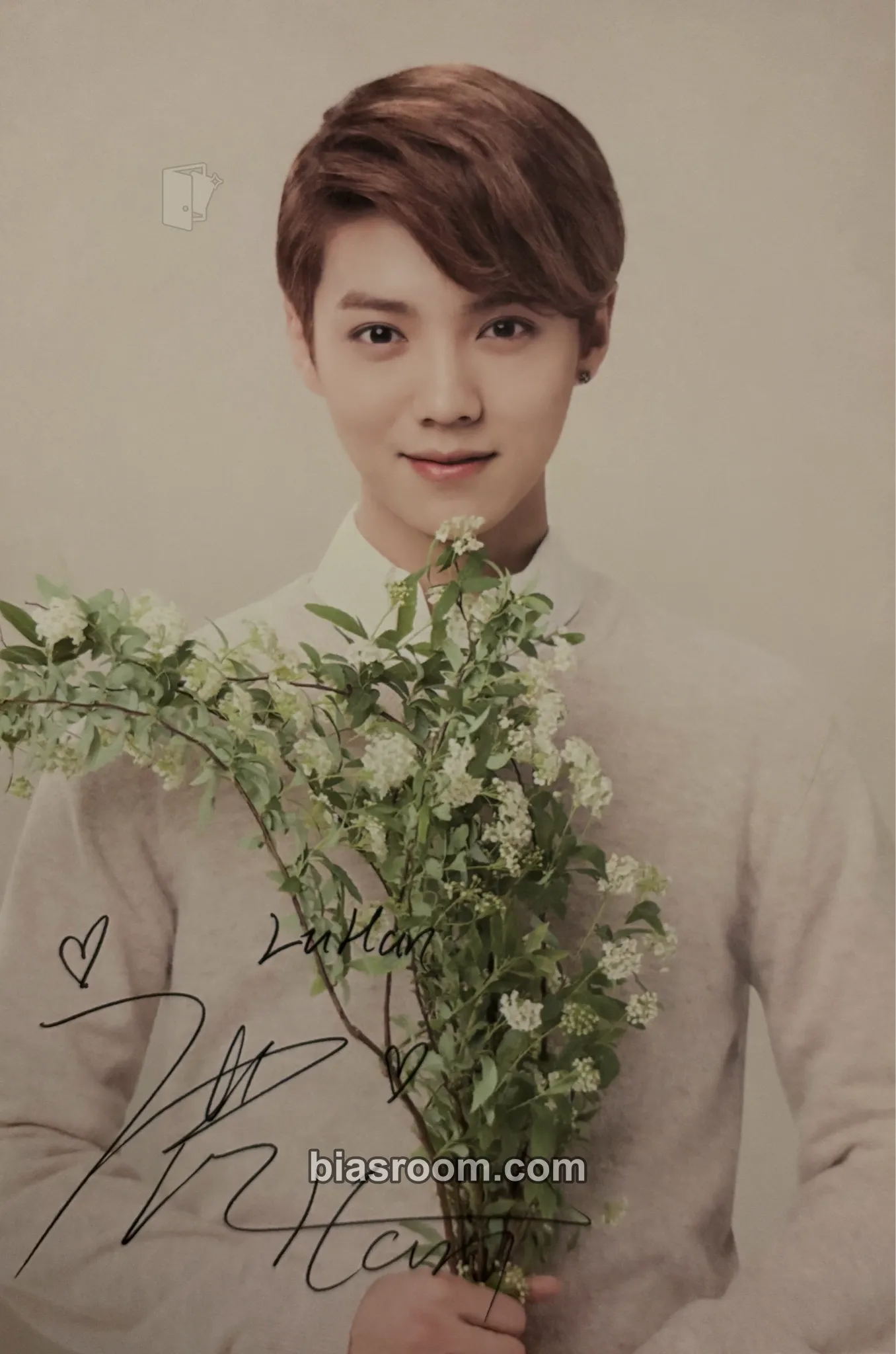 Luhan EXO × Nature Republic Photocard - EXO - EXO K-pop photocard