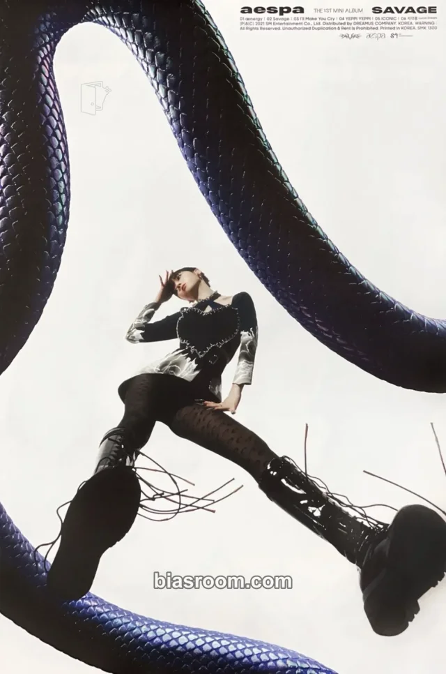 aespa - Winter - Savage Album poster album inclusion hallucination quest version
