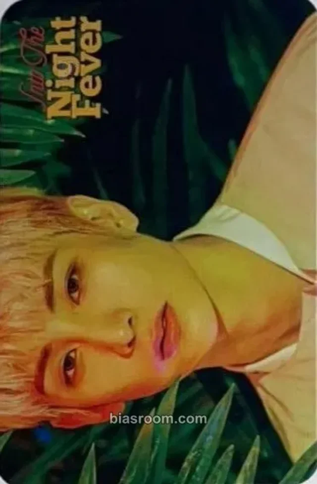 SKYE - Isaac - Into The Night Fever Album album photocard