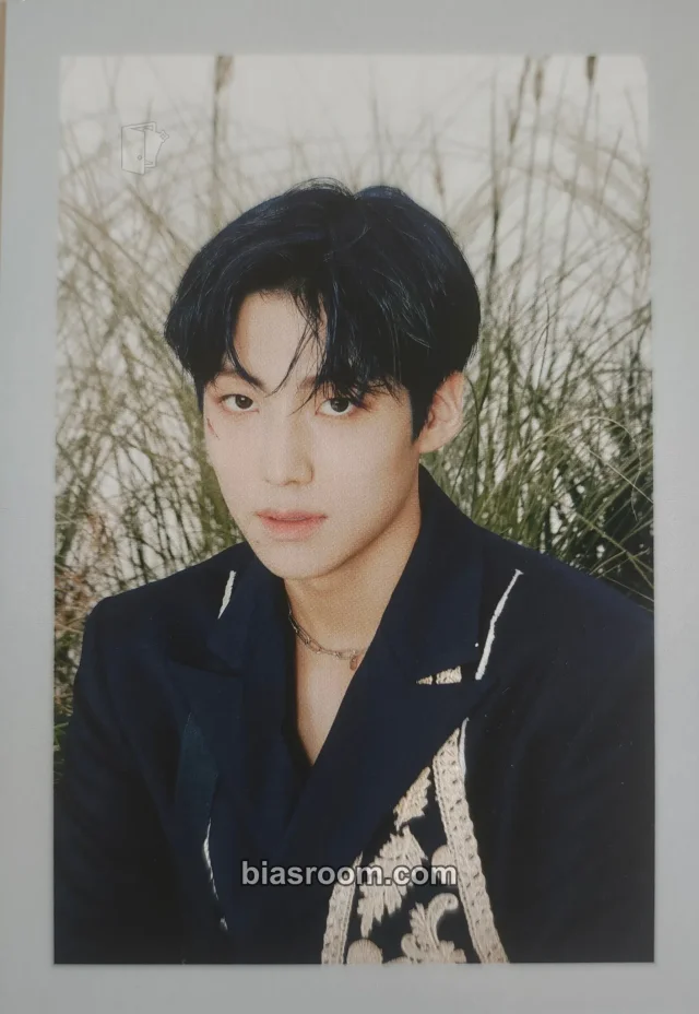 Younite - Eunsang - Beautiful Scar (Lee Eunsang) Album album inclusion postcard scar version