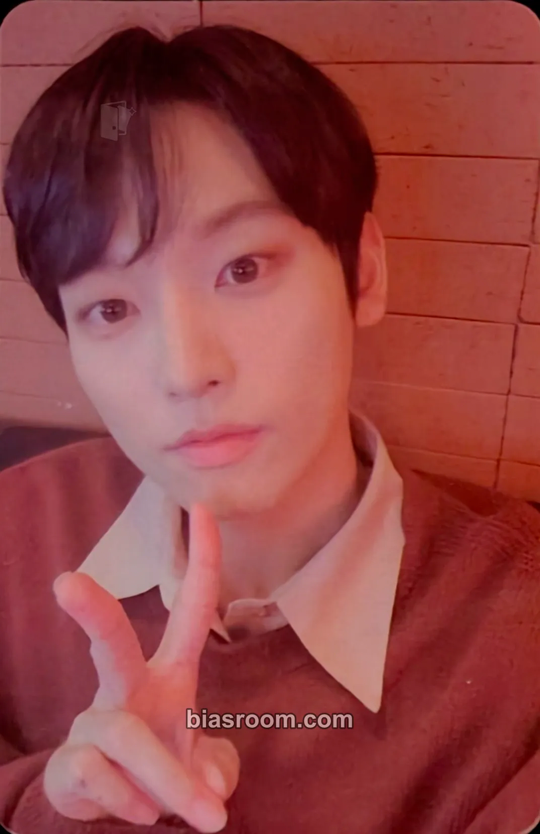 Inseong Special History Book Photocard - SF9 - SF9 K-pop photocard