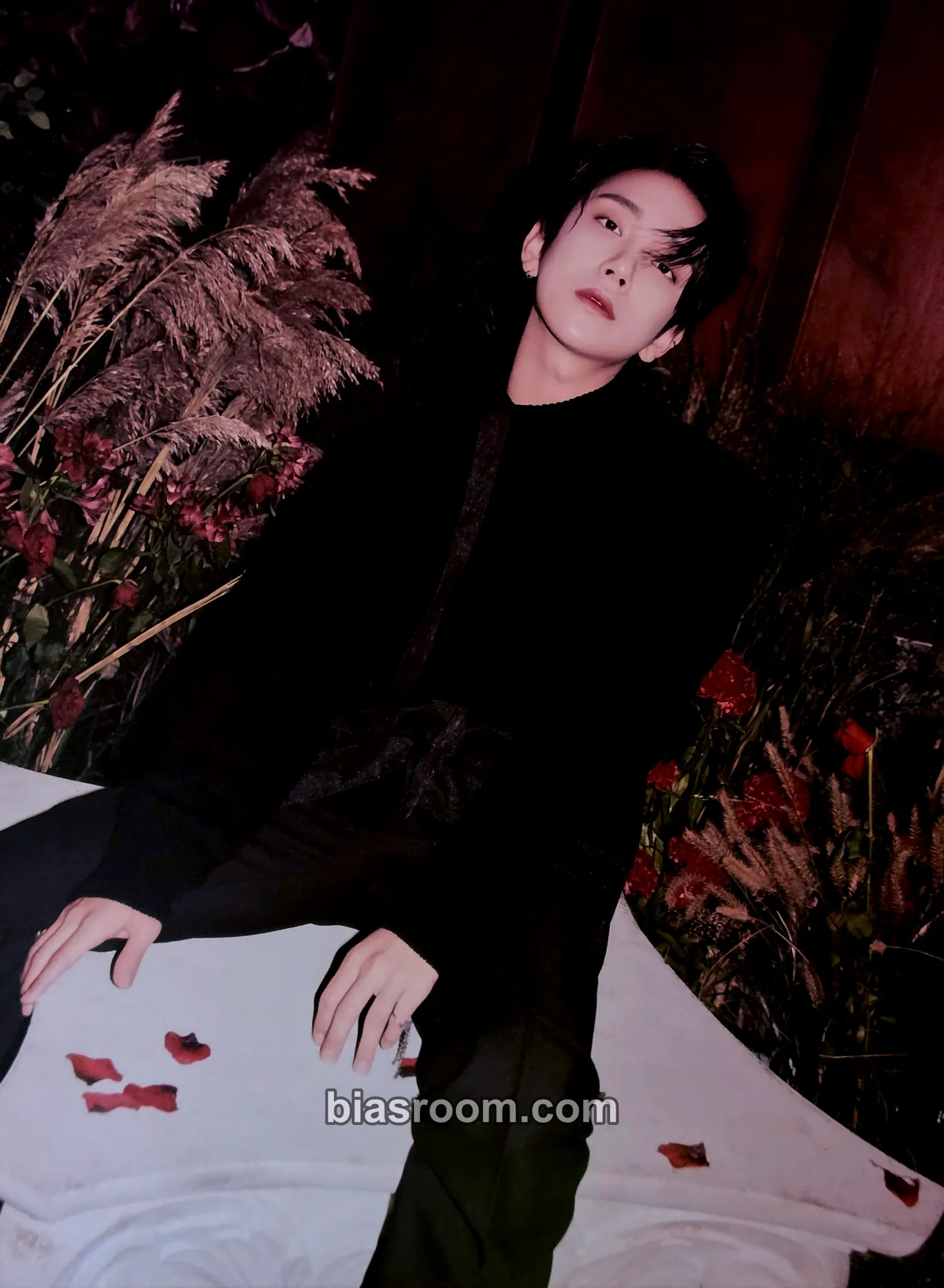 Joshua 2023 Season's Greetings Photocard - SEVENTEEN - SEVENTEEN K-pop photocard