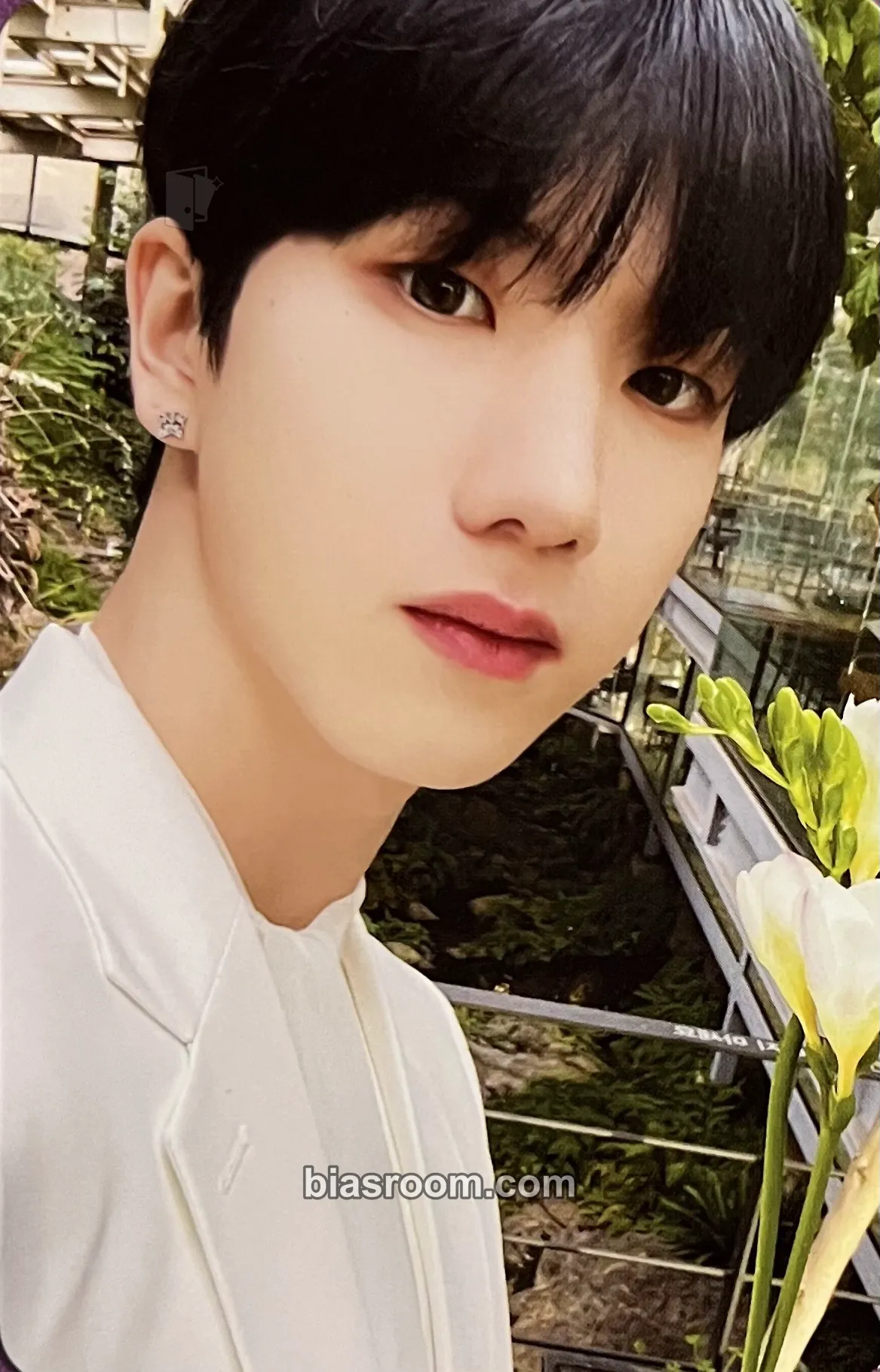 DY Just Begun Photocard - JustB - JustB K-pop photocard