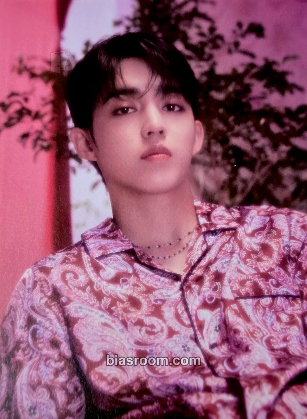 S.Coups 2023 Season's Greetings Photocard - SEVENTEEN - SEVENTEEN K-pop photocard