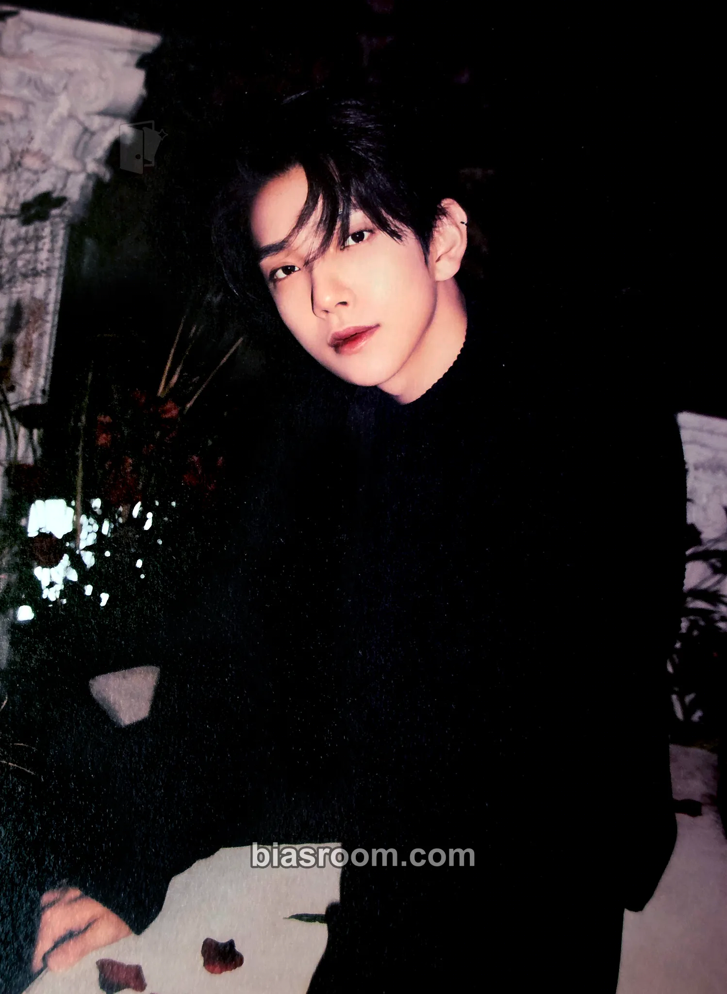 Joshua 2023 Season's Greetings Photocard - SEVENTEEN - SEVENTEEN K-pop photocard