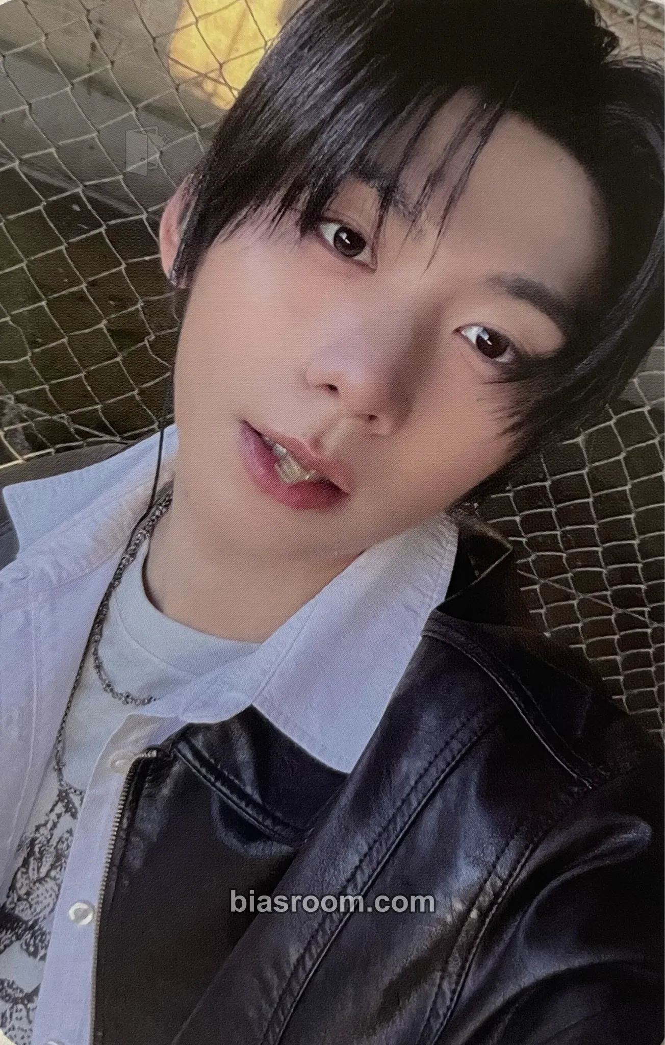 Han Photocards (AHOF) | Bias Room
