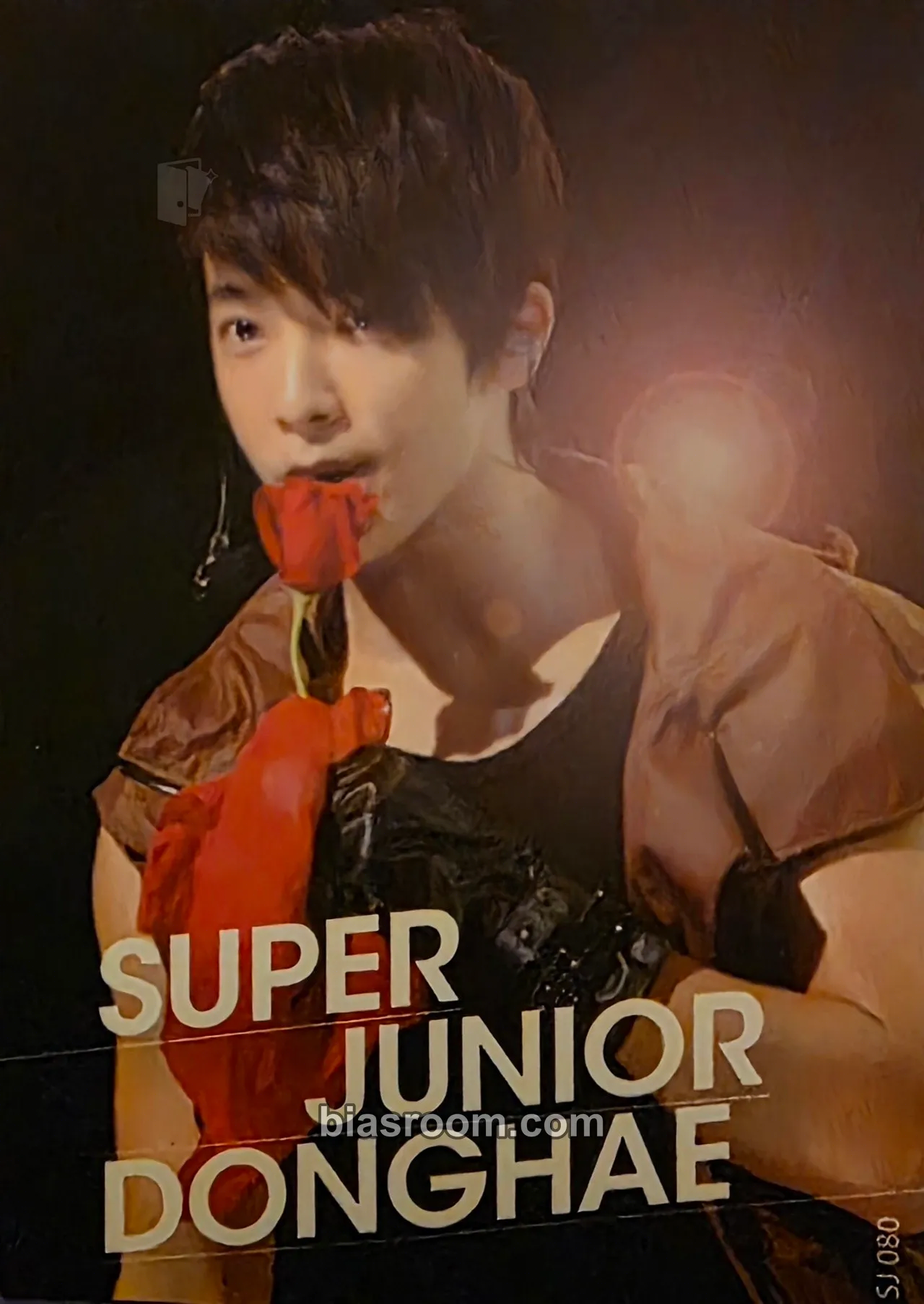 Donghae Star Collection Card Photocard - SUPER JUNIOR - SUPER JUNIOR K-pop photocard