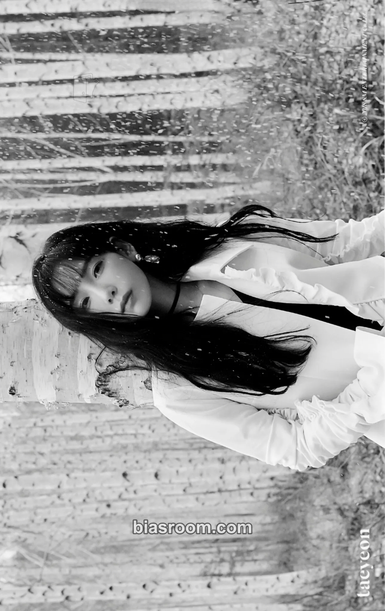Taeyeon This Christmas: Winter Is Coming Photocard - Taeyeon K-pop photocard
