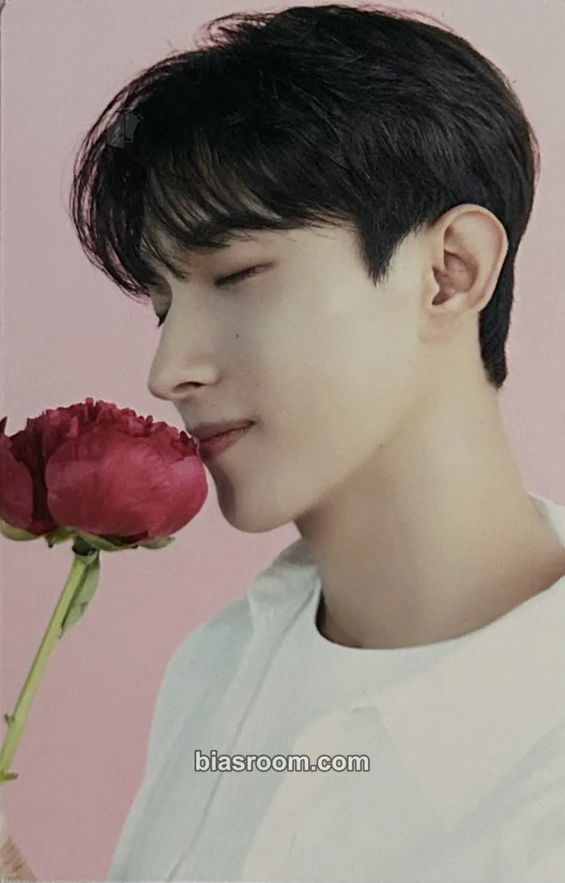 DK SEVENTEEN CAFE IN SEOUL Photocard - SEVENTEEN - SEVENTEEN K-pop photocard