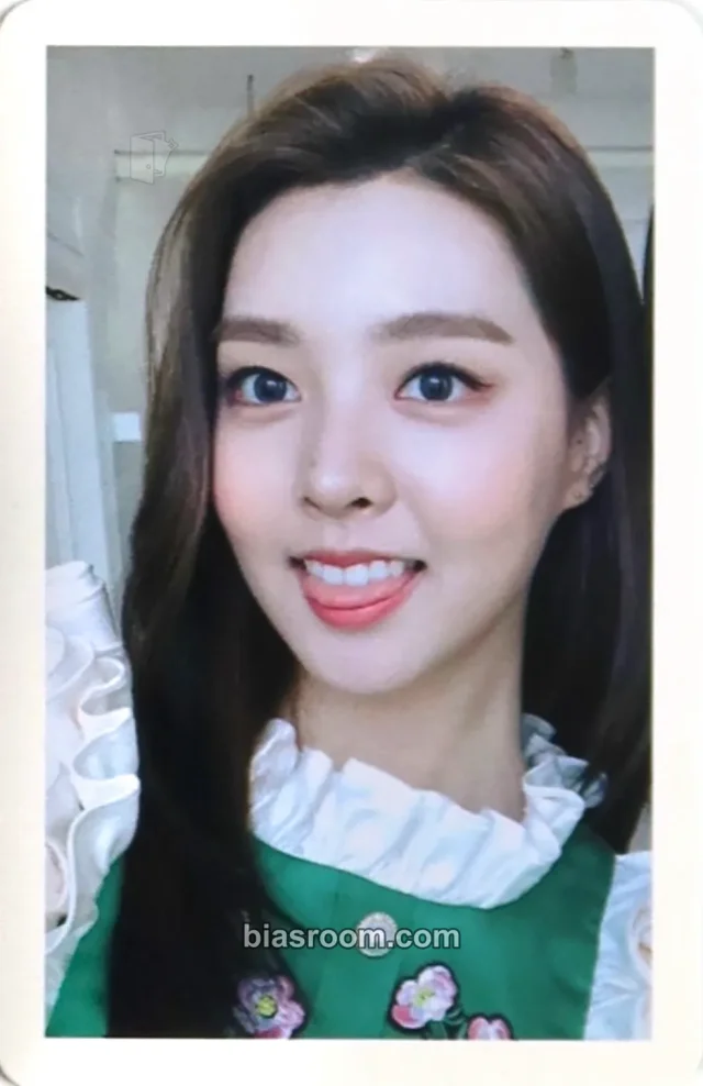 Berry Good - Sehyung - Free Travel Album album photocard