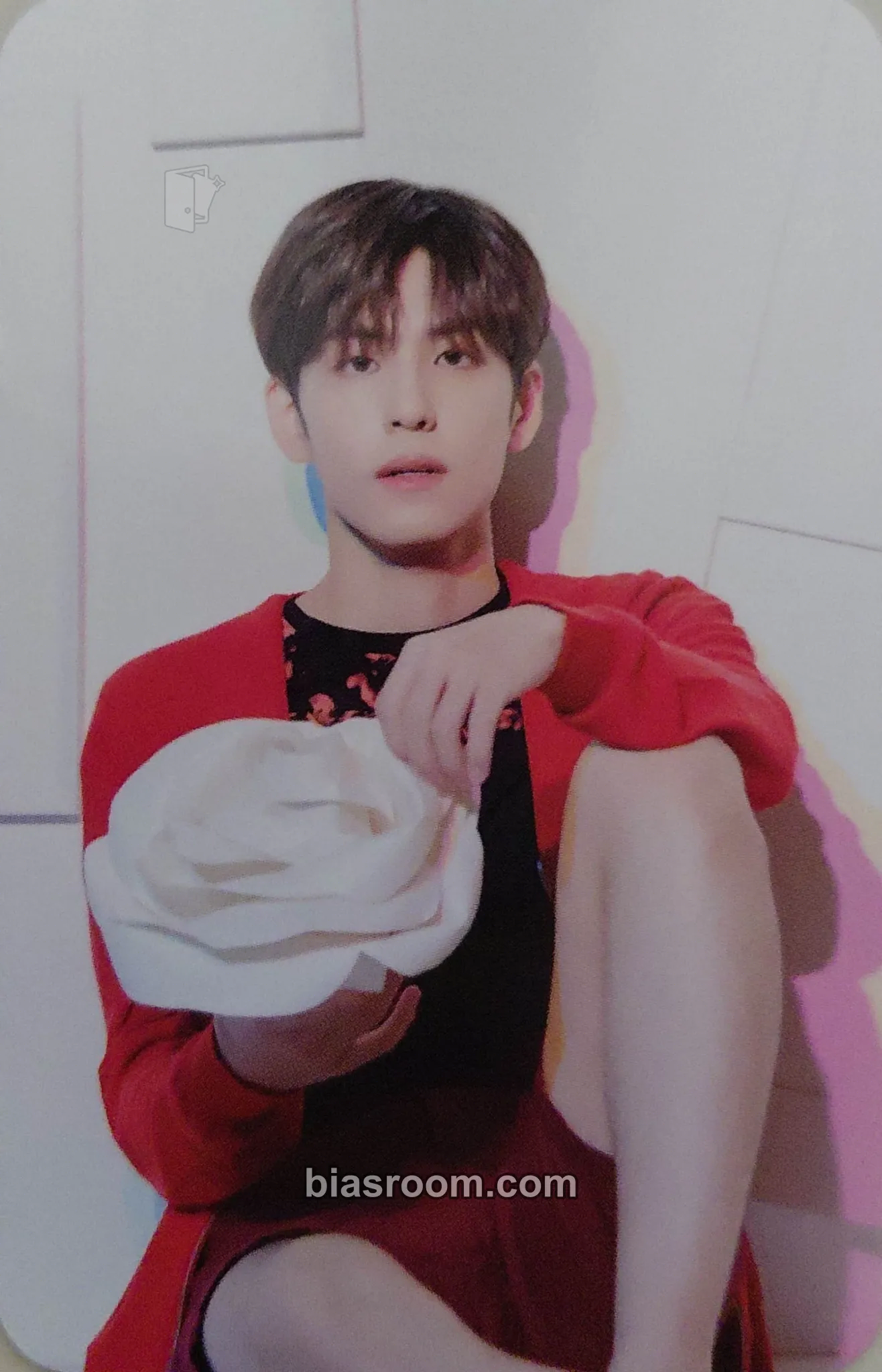 Wonpil DAY6 World Tour Gravity Photocard - DAY6 - DAY6 K-pop photocard