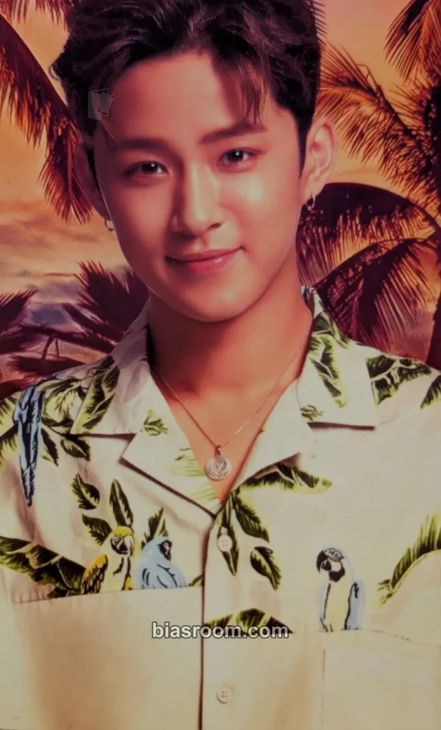 F.T. Island - Jaejin - Pretty Girl Album album photocard japanese album