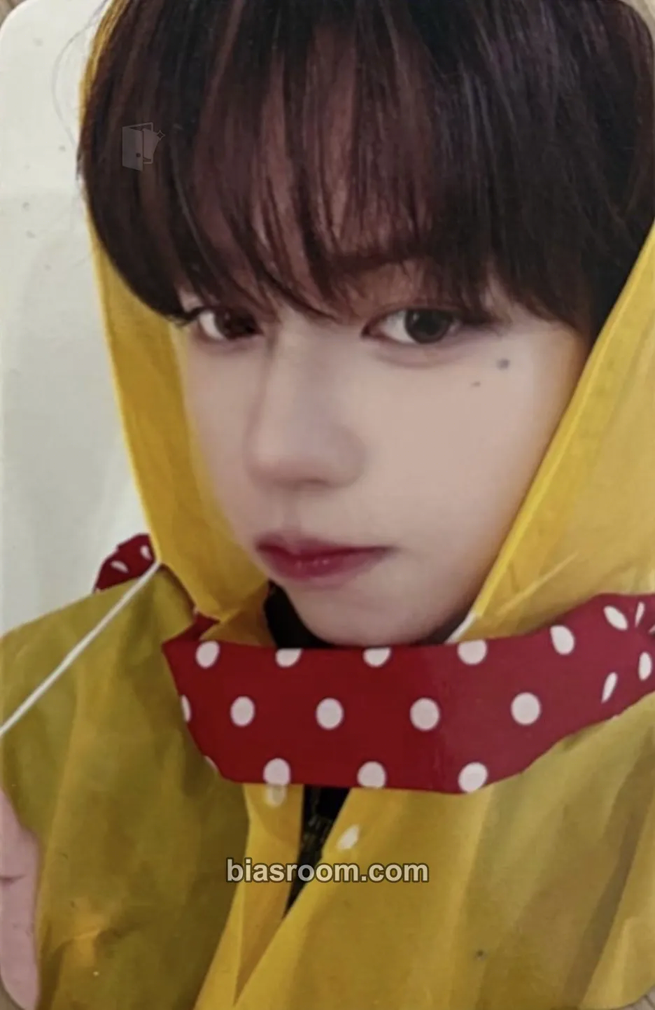 JL The Passage Photocard - AHOF - AHOF K-pop photocard