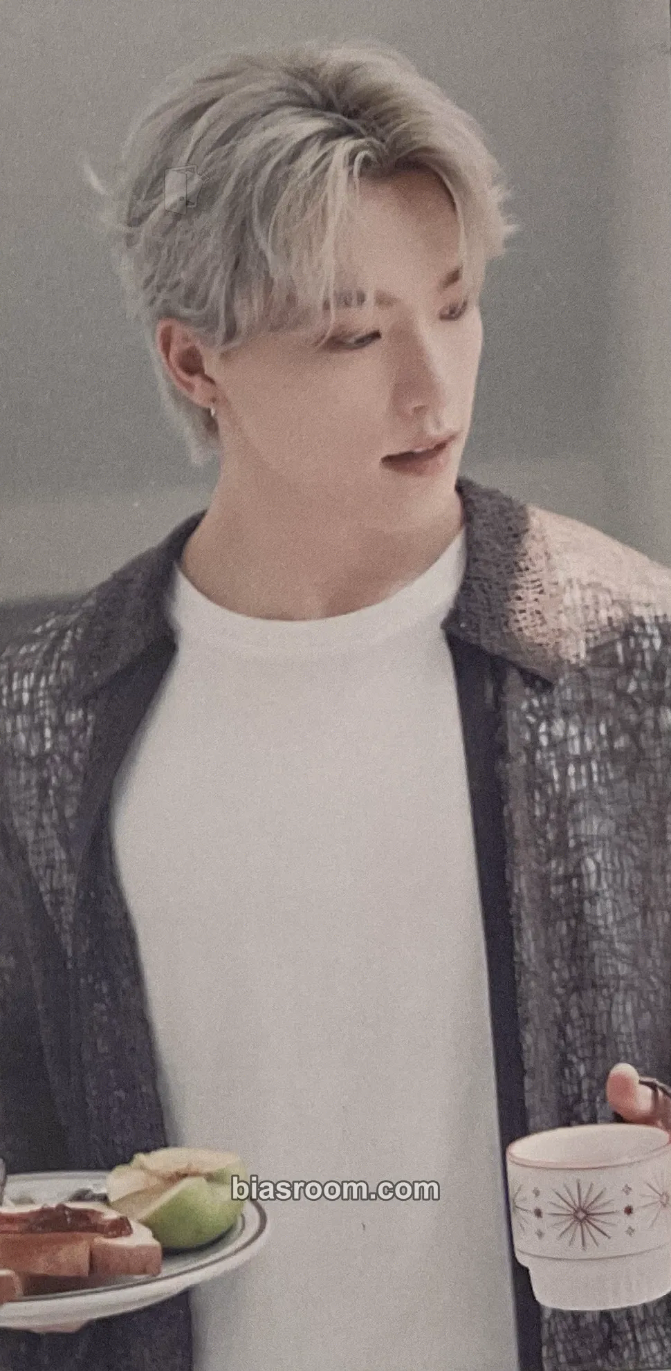 Dino 2024 Season's Greetings Photocard - SEVENTEEN - SEVENTEEN K-pop photocard