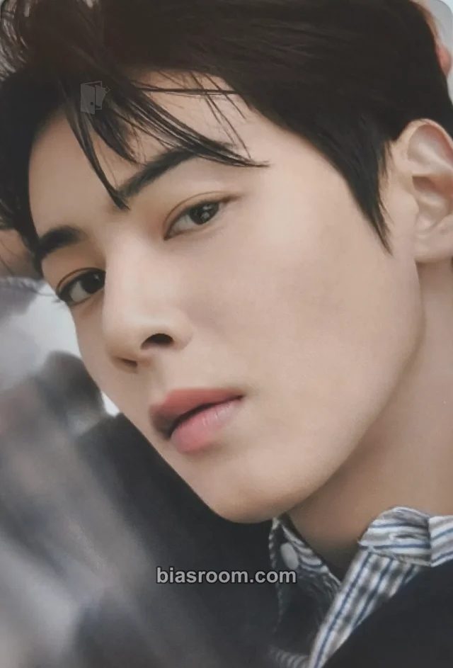 ASTRO - Cha Eun-woo - Cha Eun-Woo x Marithé François Girbaud Other photocard set brand collaboration