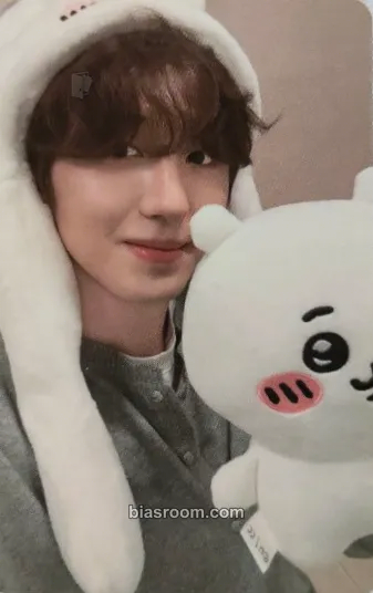 Chani About Love Photocard - SF9 - SF9 K-pop photocard