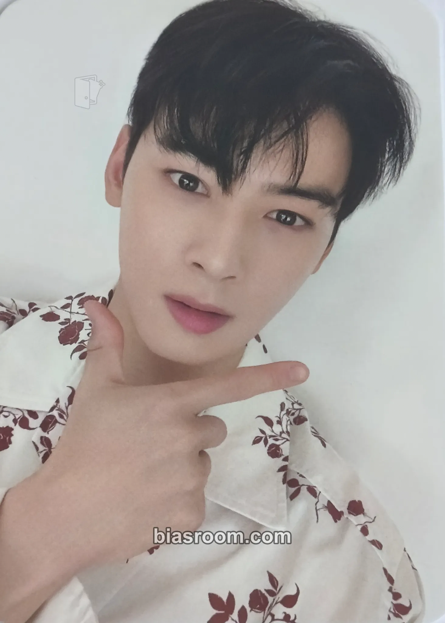Cha Eun-woo Cha Eunwoo x DICON Photocard - ASTRO - ASTRO K-pop photocard