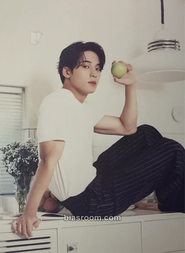 SEVENTEEN - Mingyu - 2024 Season's Greetings Other postcard