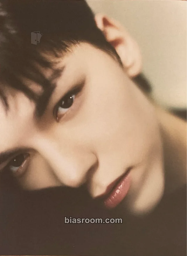 SEVENTEEN - Vernon - 2024 Season's Greetings Other postcard season's greetings postcard set kit inclusion