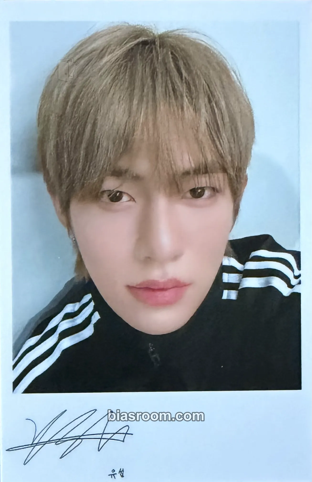 Yuseop NouerA 1st Fanmeeting in Japan 'Thank you MA1: Hello NouerA' Photocard - NouerA - NouerA K-pop photocard