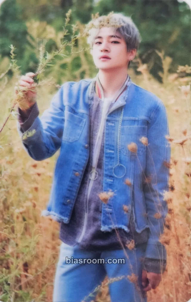 SKYE - Inpyo - Carpe Diem Album album photocard transparent