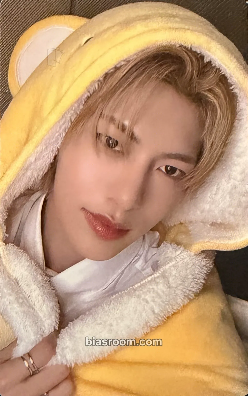 Yuseop Chapter: New is Now Photocard - NouerA - NouerA K-pop photocard