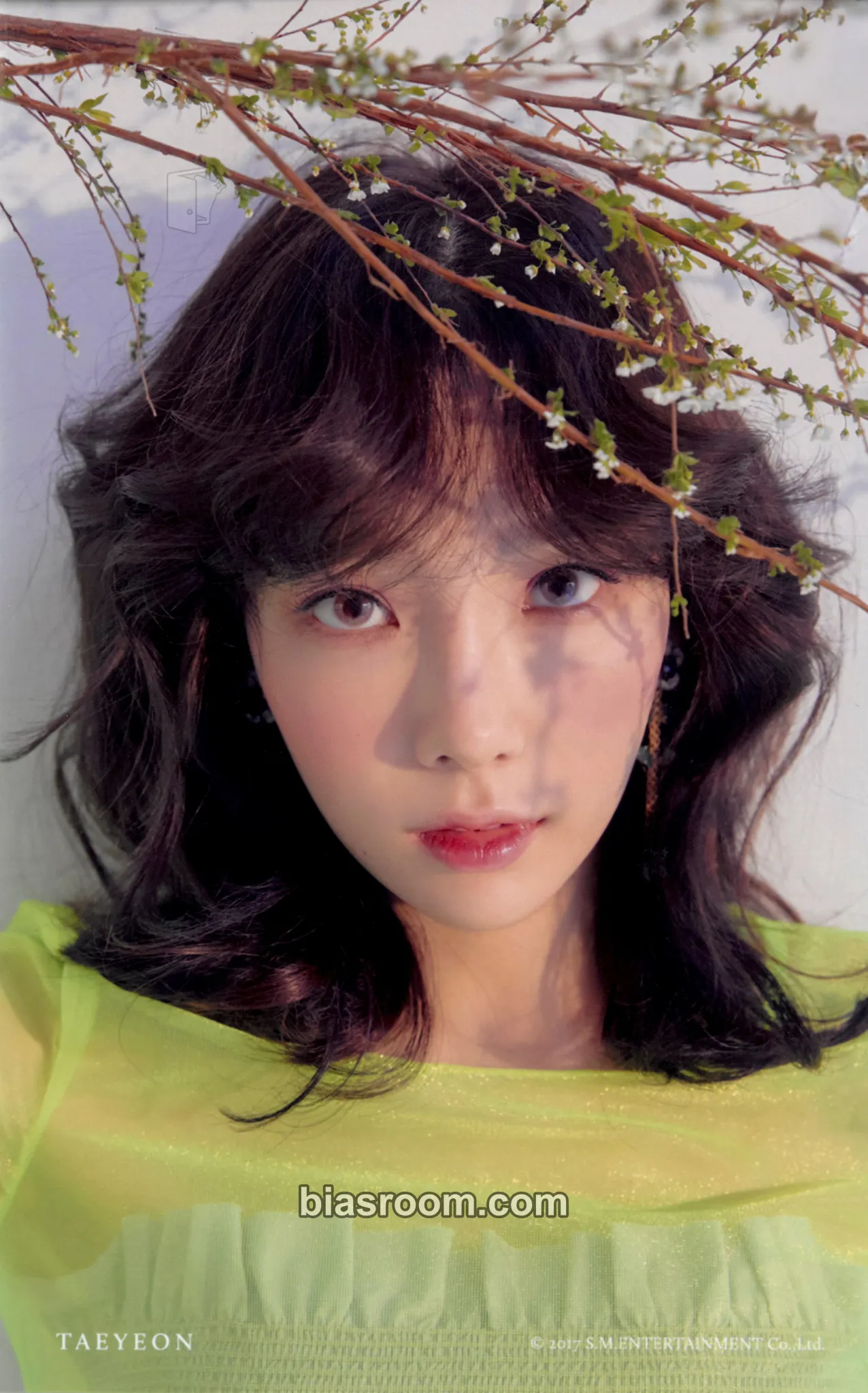 Taeyeon My Voice: Deluxe Edition Photocard - Taeyeon K-pop photocard