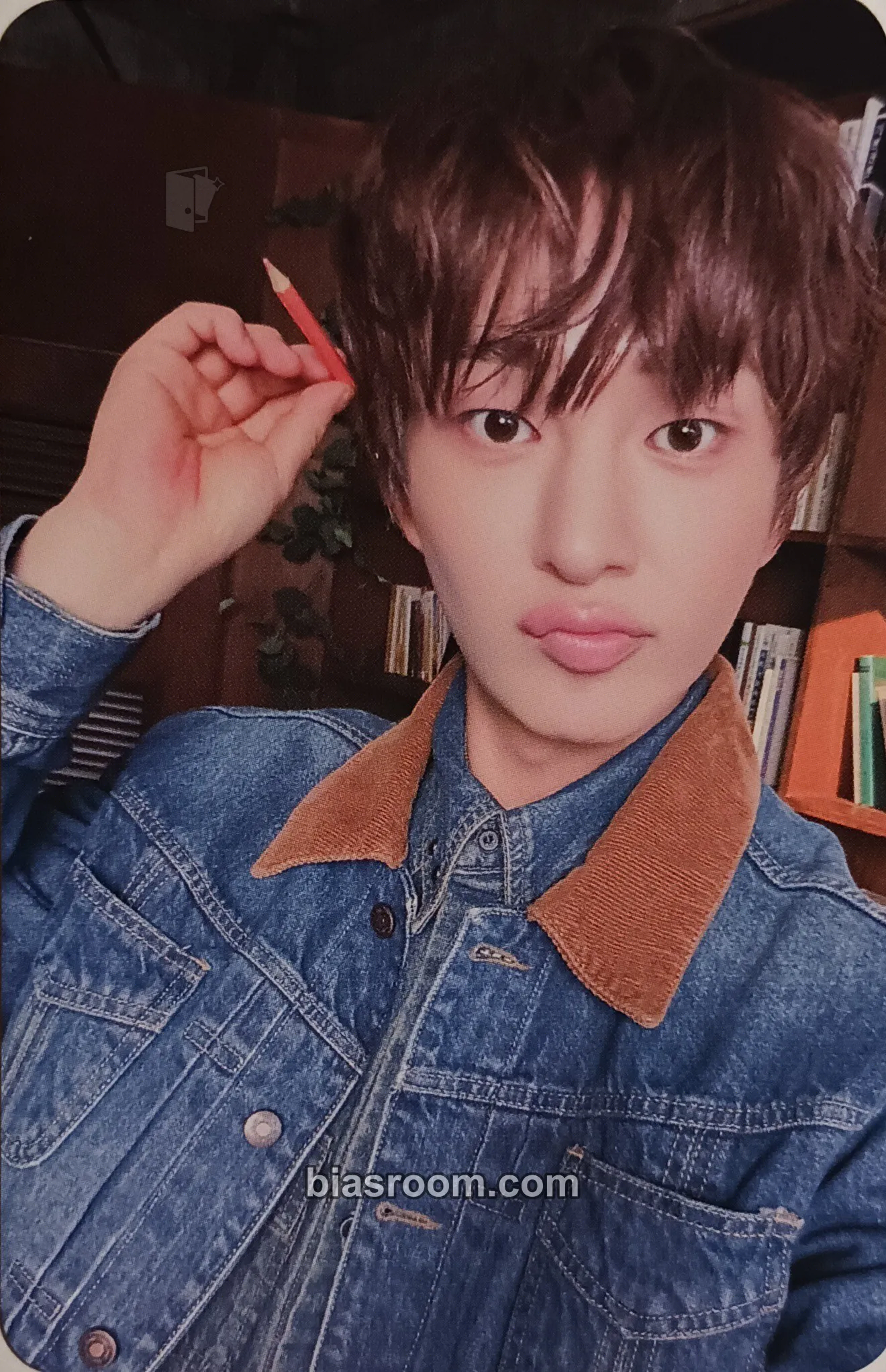 Onew Tough Love Photocard - SHINee - SHINee K-pop photocard