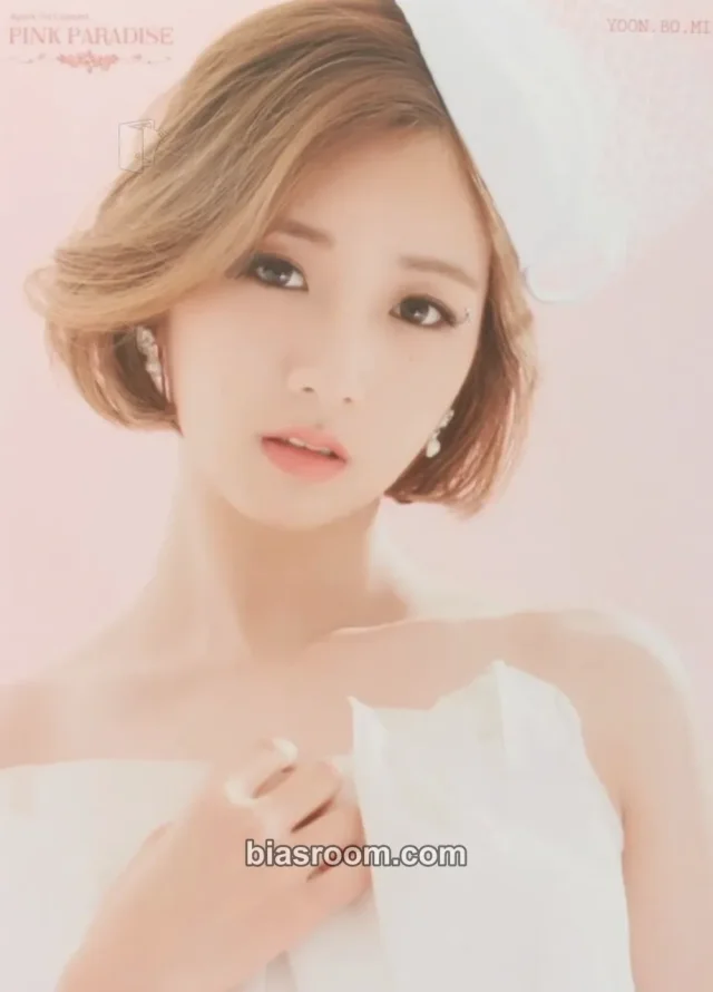 Apink - Bomi - 1st Concert “Pink Paradise” Event mini poster set merch