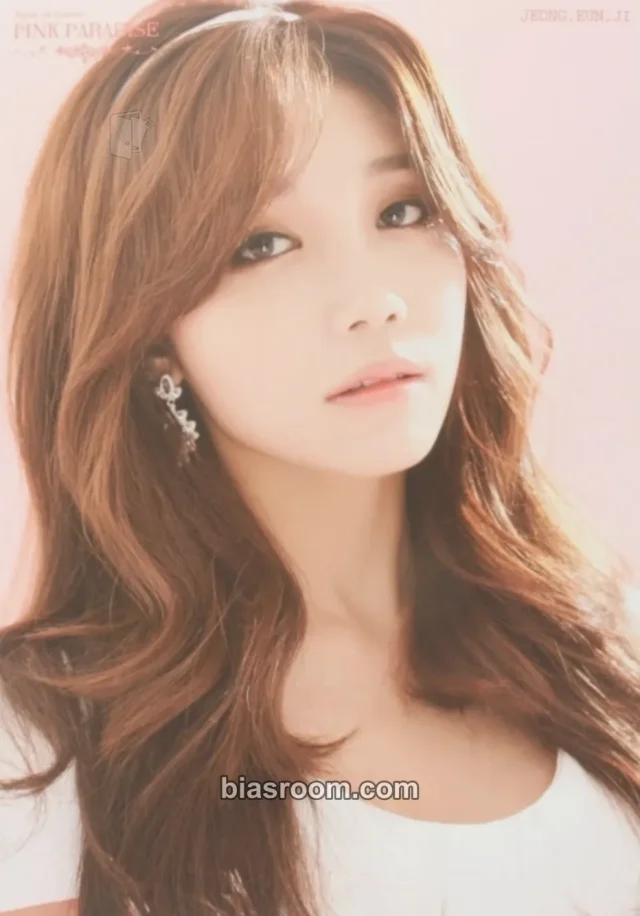 Apink - Eunji - 1st Concert “Pink Paradise” Event mini poster set merch