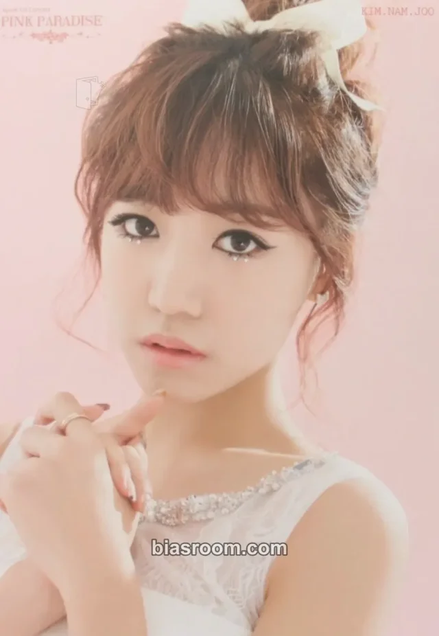 Apink - Namjoo - 1st Concert “Pink Paradise” Event mini poster set merch