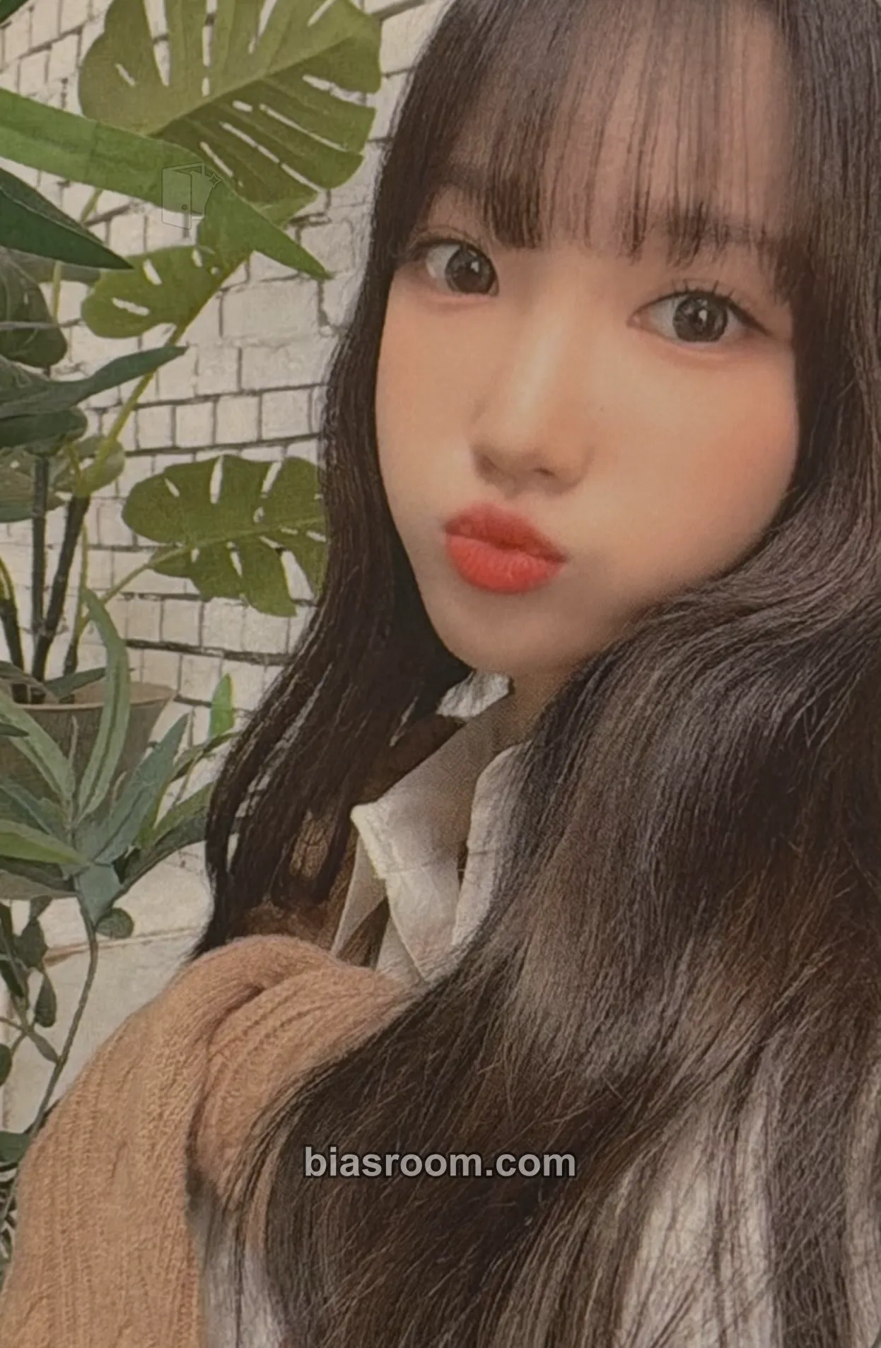 Sua Anime Weekend Atlanta '22 Photocard - PIXY - PIXY K-pop photocard