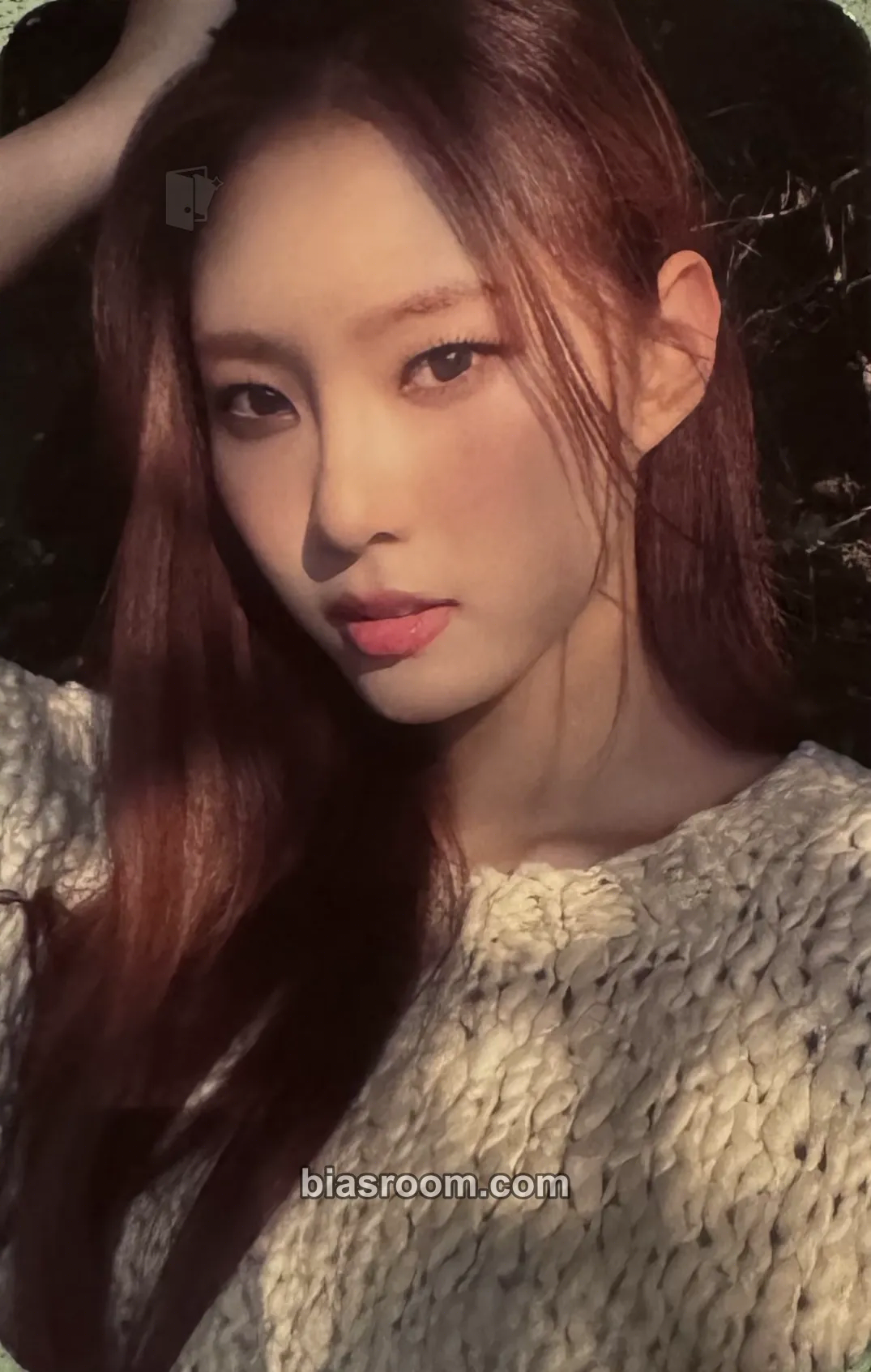 Monday ColoRise Photocard - Weeekly - Weeekly K-pop photocard
