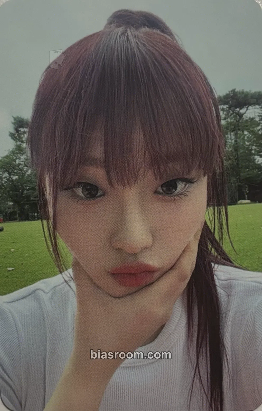 Chloe 2023 C9 POP-UP STORE Photocard - cignature - cignature K-pop photocard
