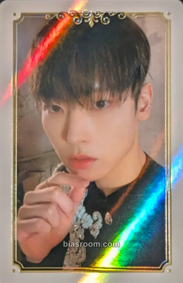 SF9 - Inseong - TURN OVER Album trading card holographic (hologram)