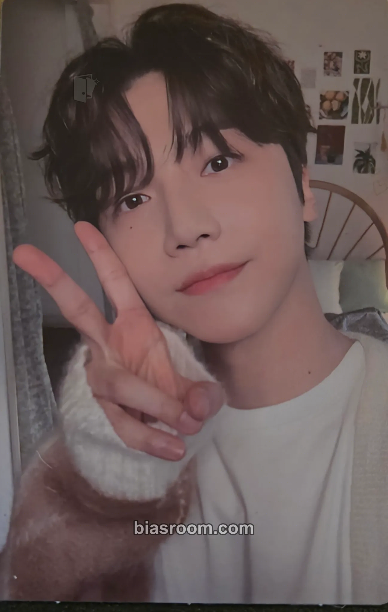 Jinho CHO:RD Photocard - PENTAGON - PENTAGON K-pop photocard