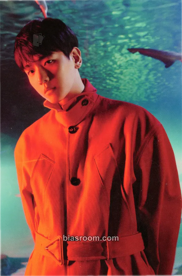 Baekhyun Bambi Photocard - EXO - EXO K-pop photocard