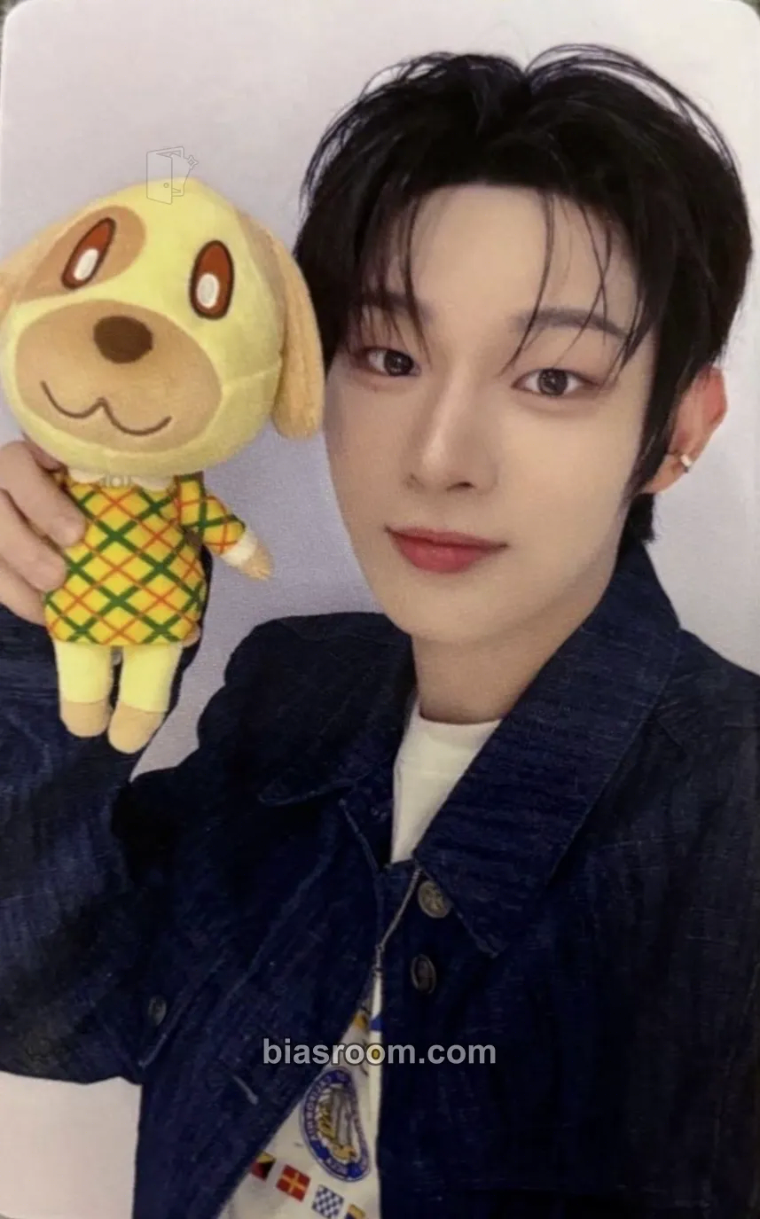 Steven Photocards (AHOF) | Bias Room