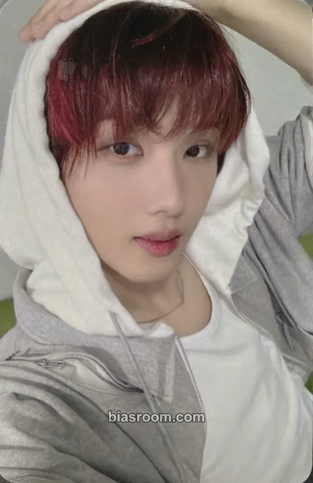 Jisung Dreamscape Photocard - NCT DREAM - NCT DREAM K-pop photocard