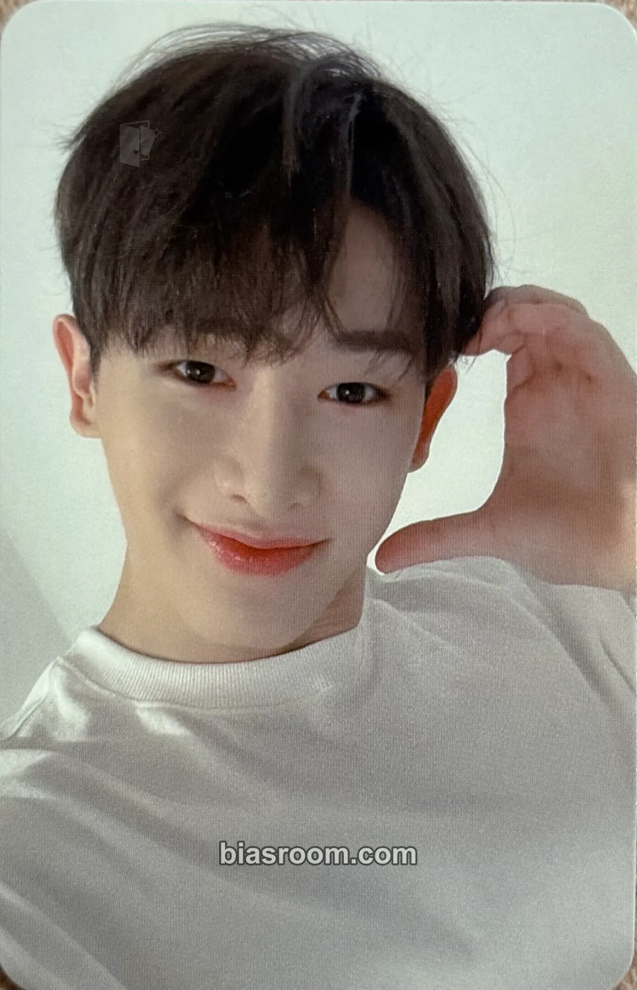 Wonho Wonho X Wonderwall Wenee's Closet Photocard - Wonho K-pop photocard