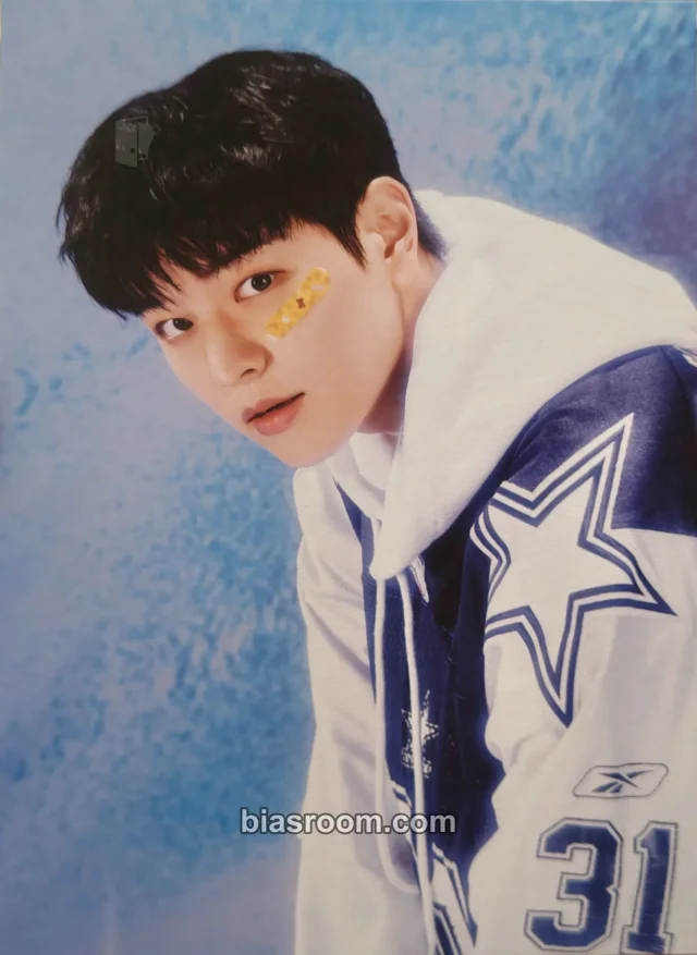 Stray Kids - Seungmin - 2025 Season's Greetings - The Street Kids Other apple music pob (pre-order benefit) postcard season's greetings supplemental