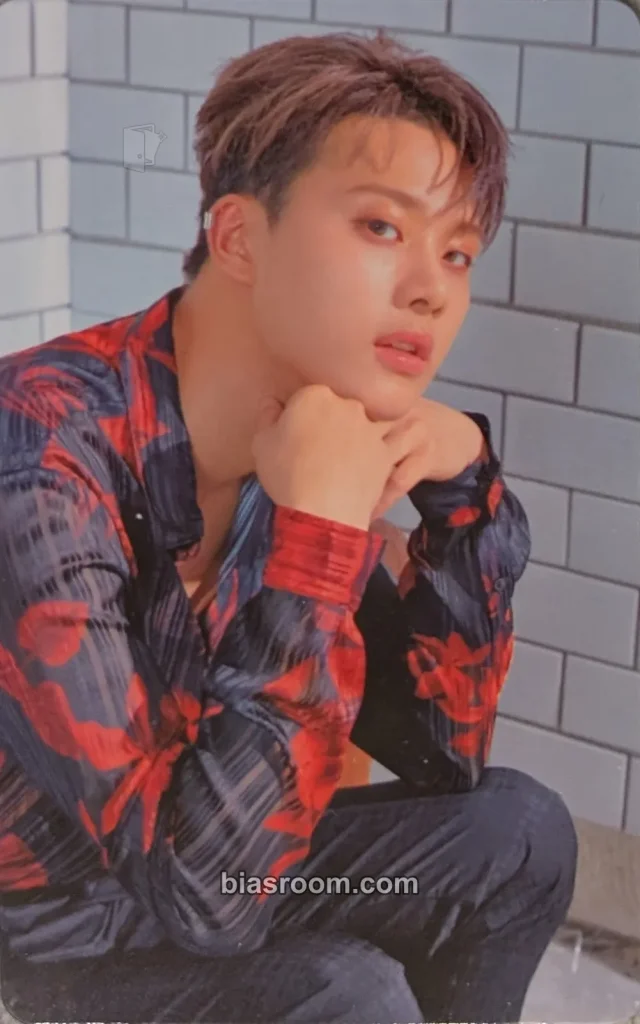 IZ - Woosu - From:IZ Album album photocard