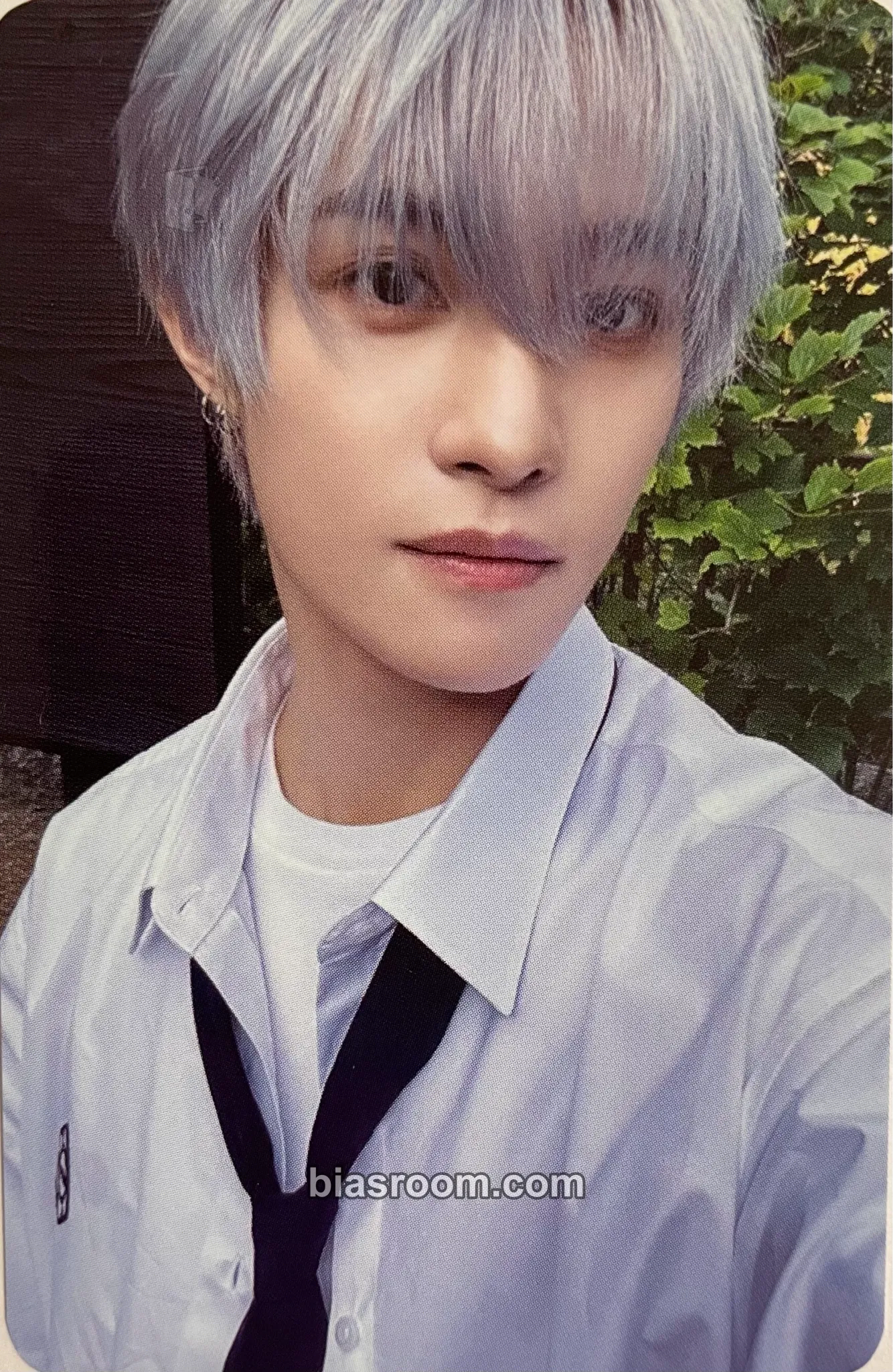 Yangyang 2026 Season's Greetings Photocard - WayV - WayV K-pop photocard