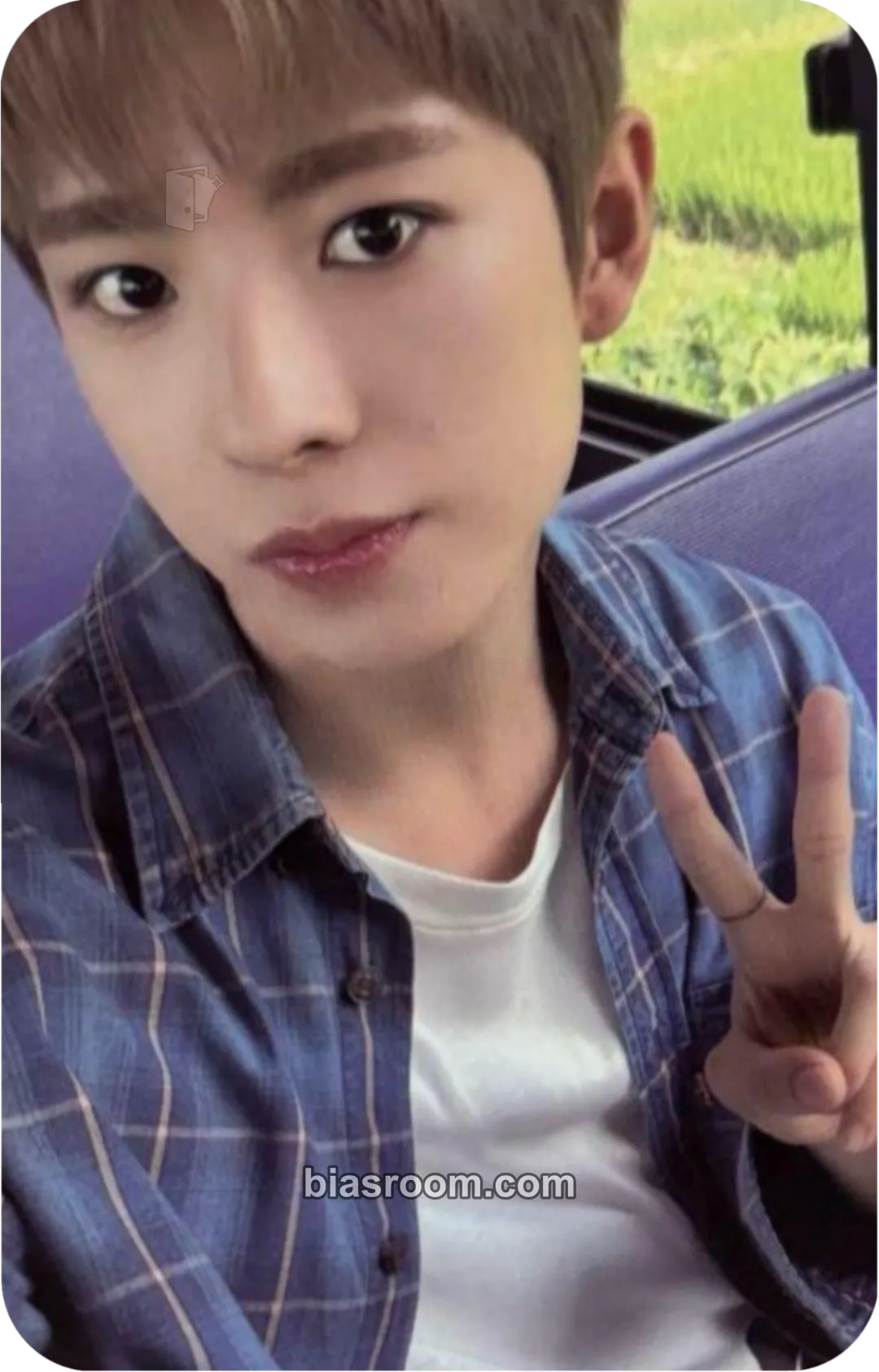 Yushi COLOR Photocard - NCT WISH - NCT WISH K-pop photocard