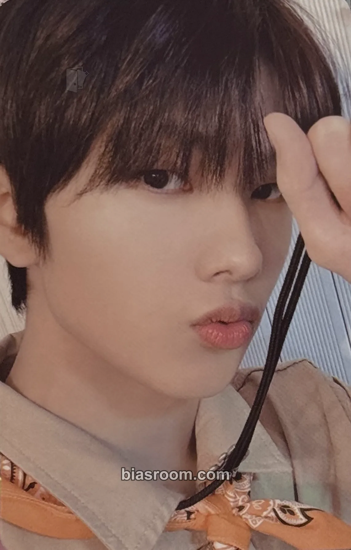 Jisung NCT ZONE Photocard - NCT - NCT K-pop photocard