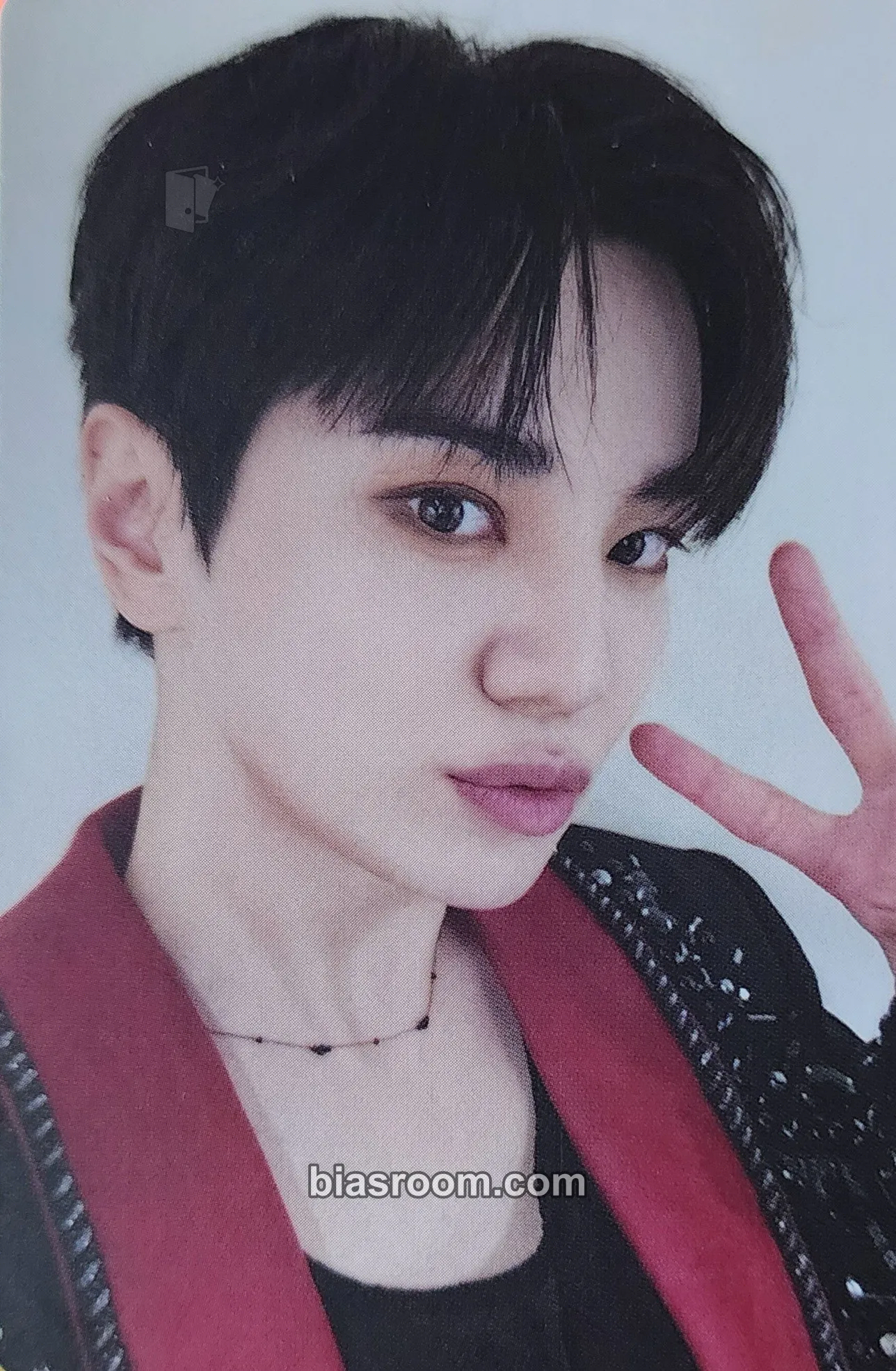 Sungjong Limited Edition Encore (15th anniversary concert) Photocard - INFINITE - INFINITE K-pop photocard