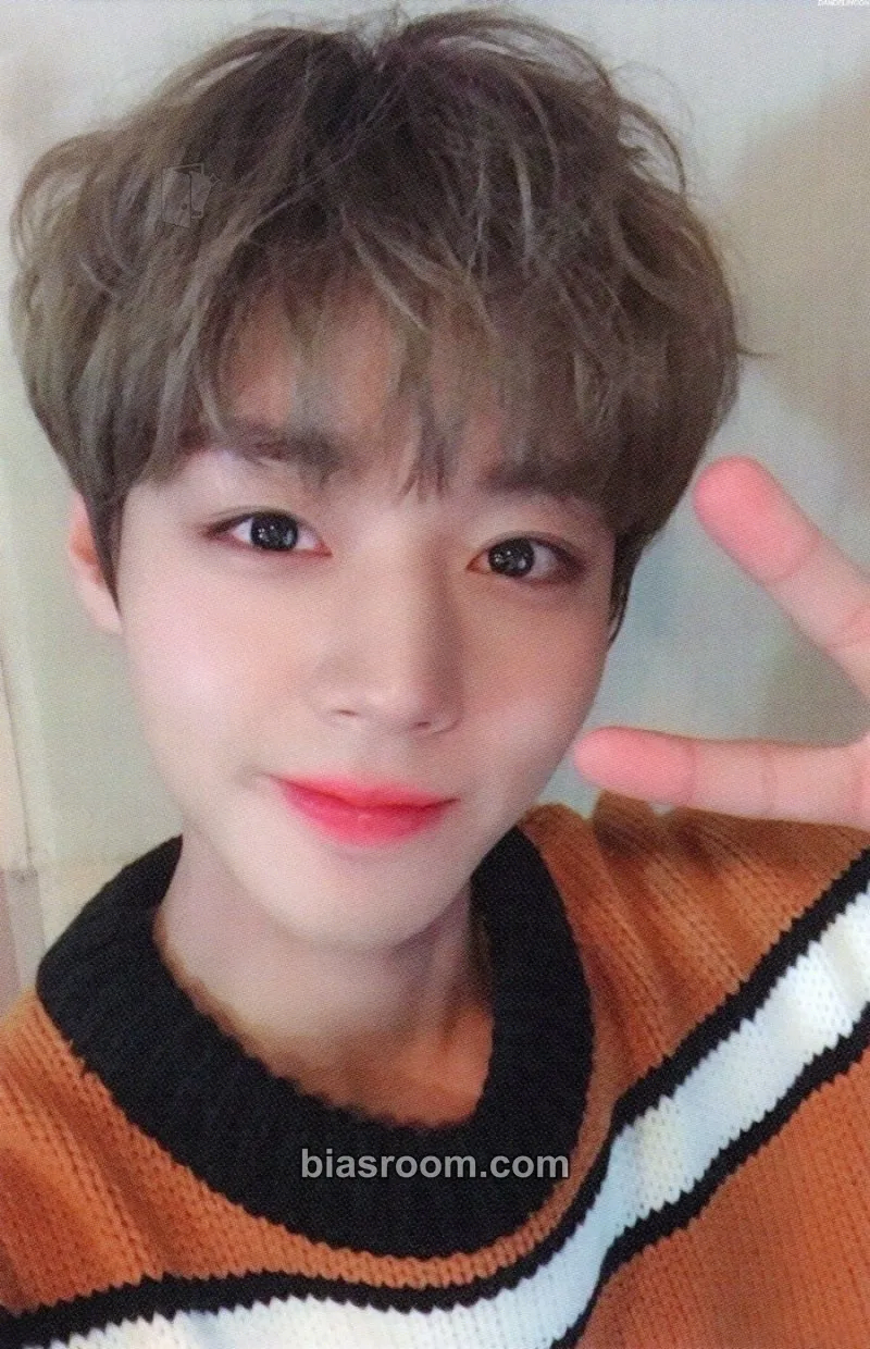 Jihoon 1ST FANCLUB KIT Photocard - Park Jihoon - Park Jihoon K-pop photocard